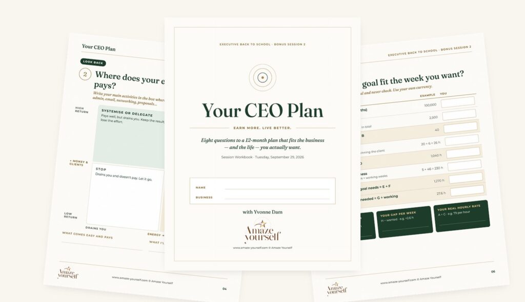 Pages from Your CEO Plan workbook